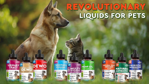 Liquid Gold for Pets: Beloved Pets Brand's New Liquid Supplement -  SOUTHEAST - NEWS CHANNEL NEBRASKA