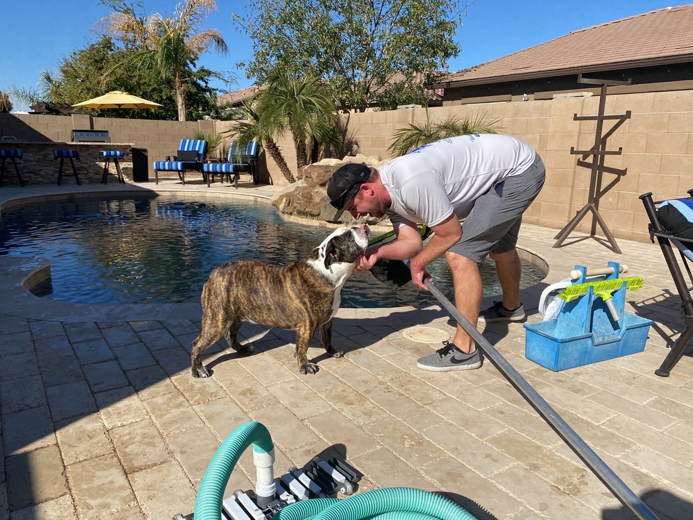 Pool Service Company in Gilbert Arizona