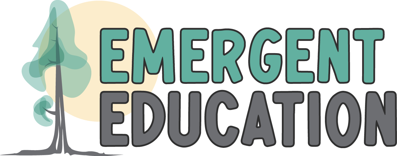 Emergent Education Announces Summer Tutoring Opportunities for K-12 Students