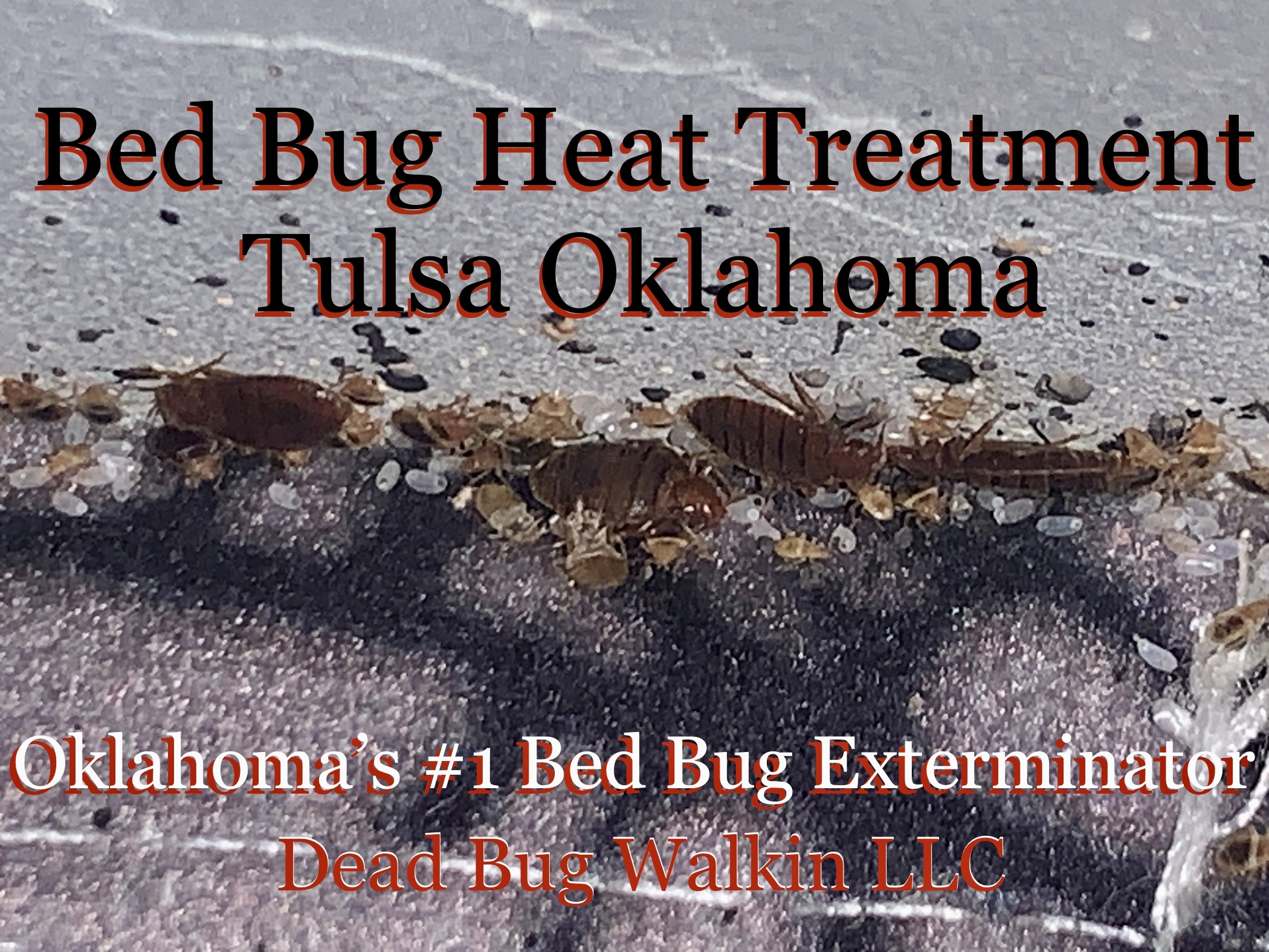 Dead Bug Walkin LLC: Oklahoma’s Premier Bed Bug Heat Treatment Specialist, On Track to Revolutionize Pest Control in Tulsa, Oklahoma