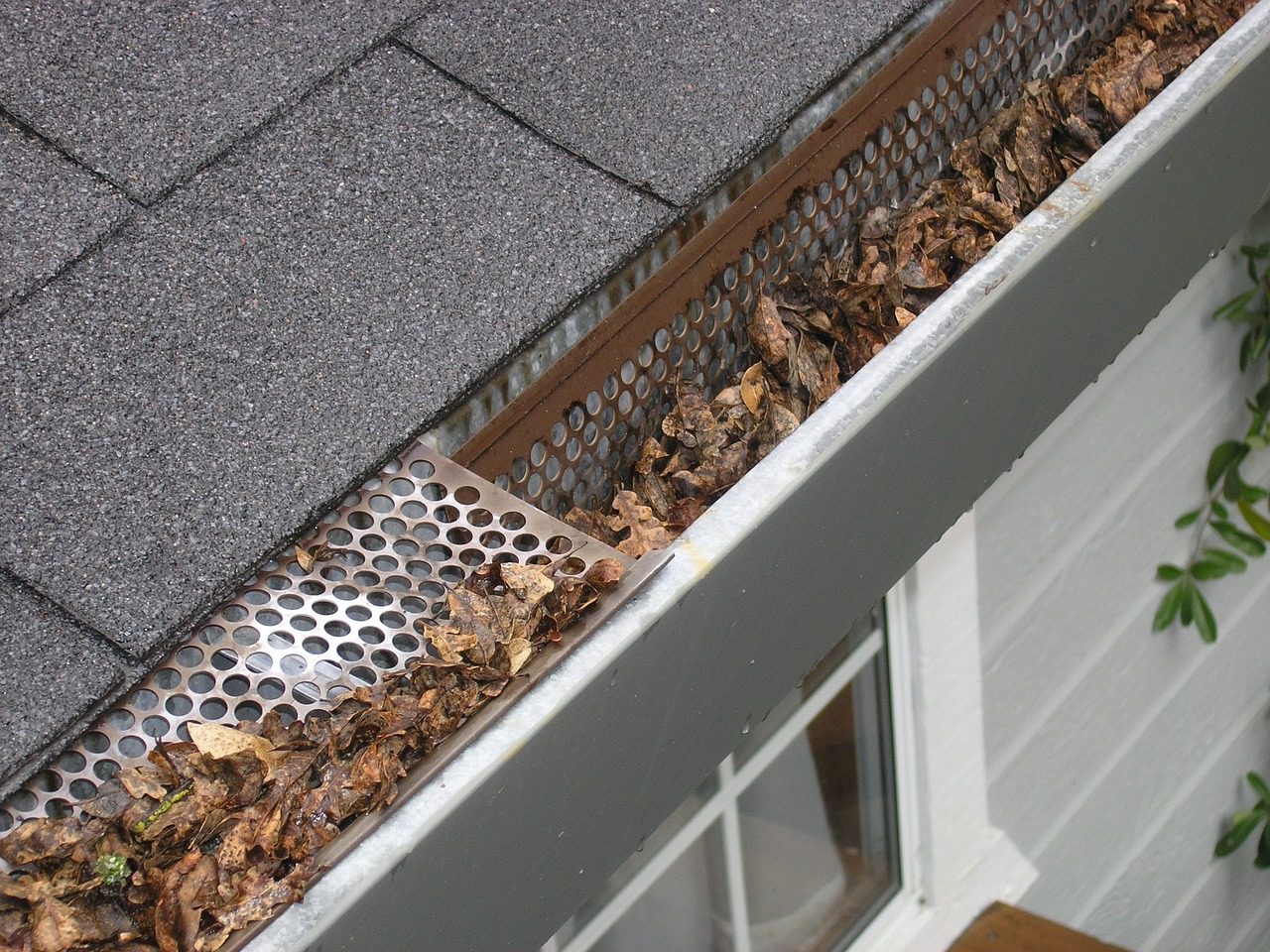 The Value Professional Gutter Cleaning Provides to Homeowners