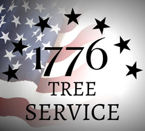 1776 Tree Service Expands Its Roots in Buffalo, NY, Offering a Comprehensive Range of Tree Care Services