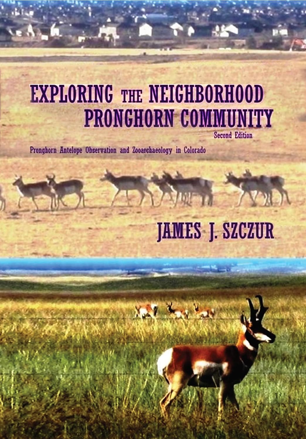 Exploring the Colorado Wilderness: A Unique Pronghorn Adventure Unveiled in New Book
