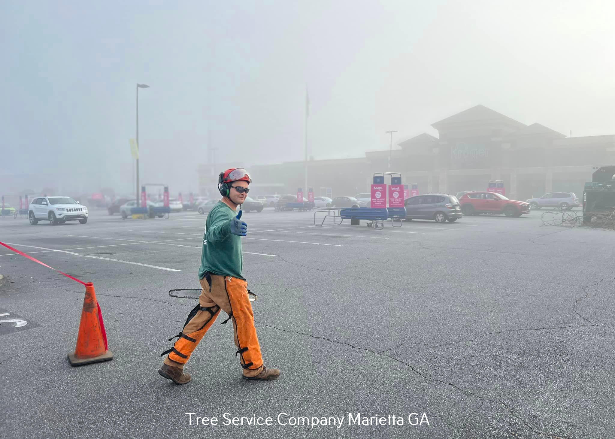 Tree Care Service Company that Maintains and Improves the Earth Beauty