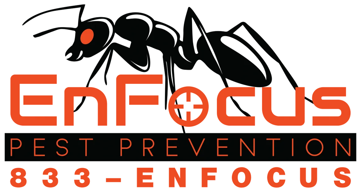 EnFocus Pest Prevention Shares Tips for Effective Pest Control and Management