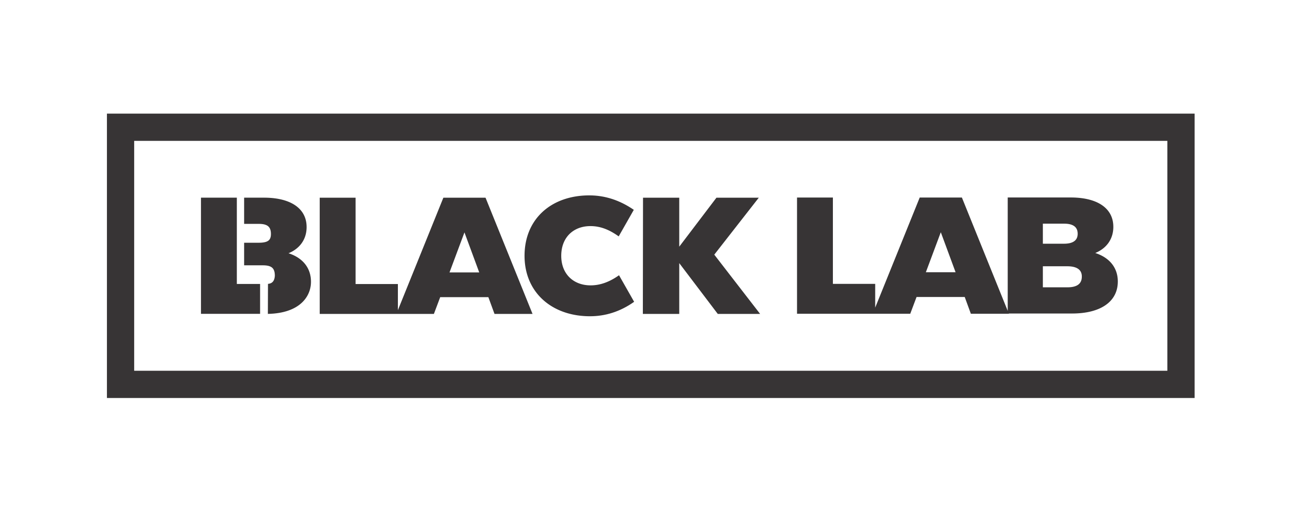 Introducing Black Lab Brands: Elevating Pet Essentials for the Home