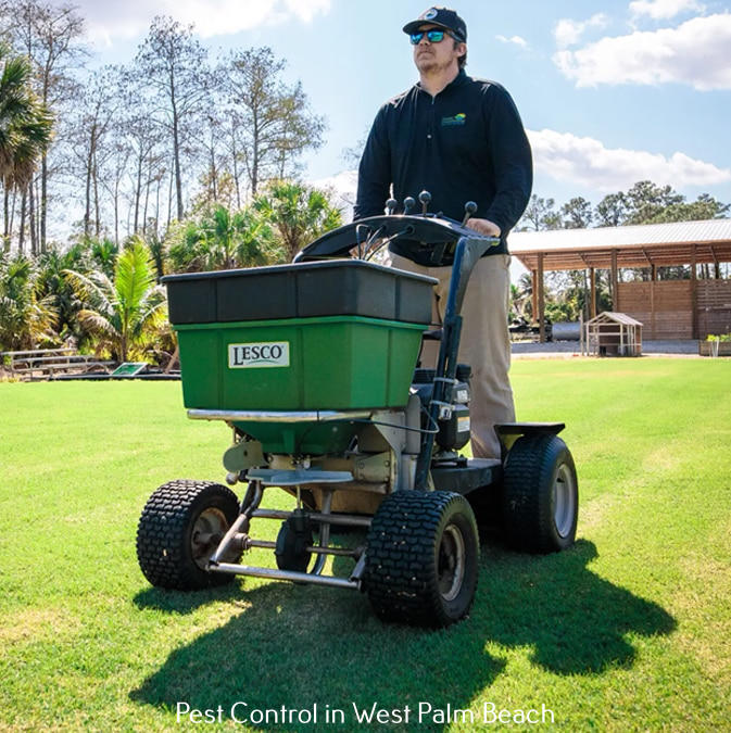 Florida Environmental Pest Management Highlights Eco-Friendly Pest Control Solutions for a Greener Tomorrow