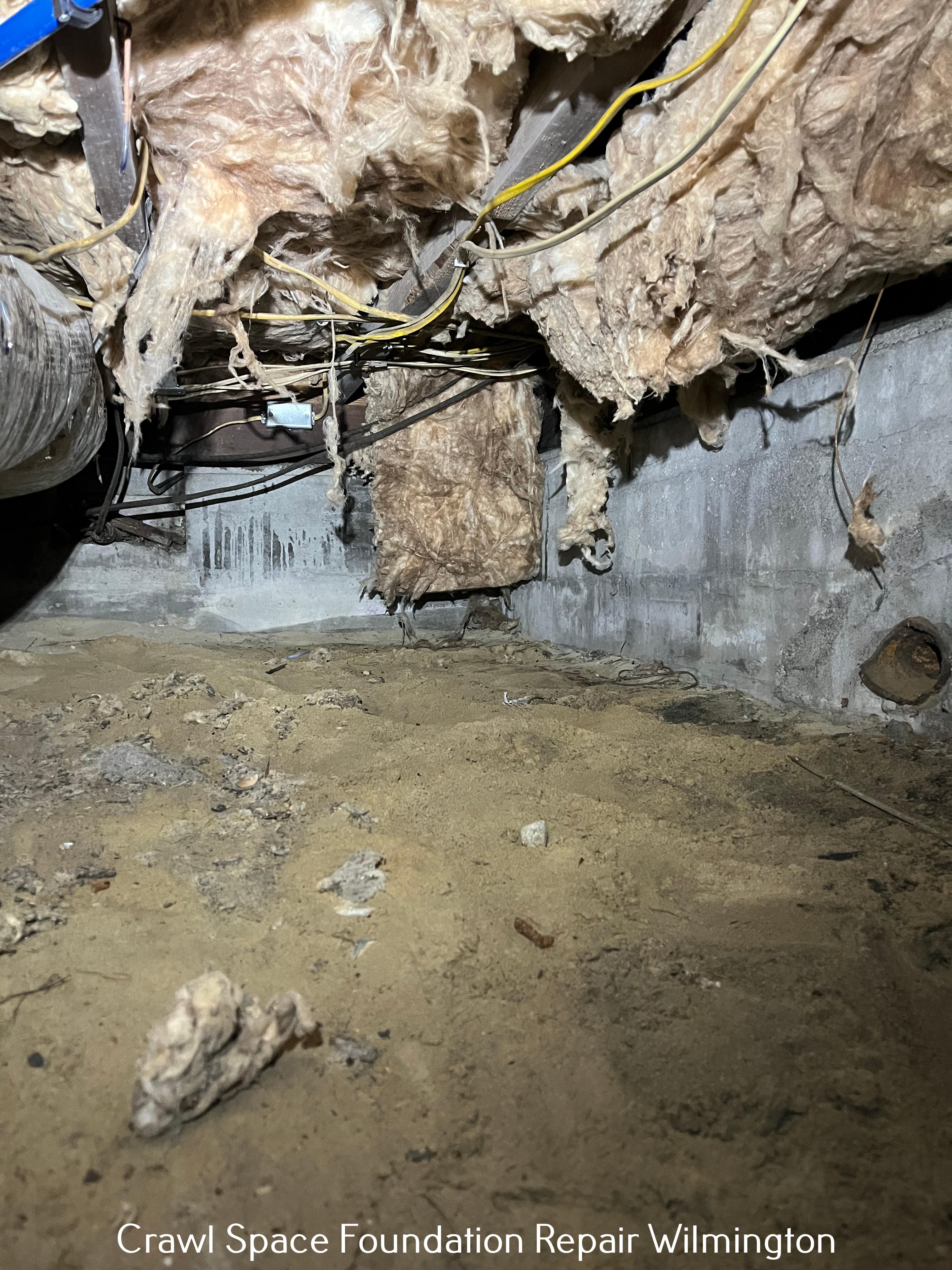 Crawl Space Ninja of Wilmington Transforms Homes with Expert Crawl Space and Basement Solutions