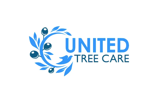 Expert Tree Services in Manassas: United Tree Care Stands Out for its Experience, Value, Quality, and Prompt Service