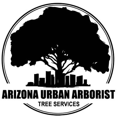 Arborist Phoenix AZ: ISA-Certified Tree Experts Bring Urban Tree Service to the Next Level