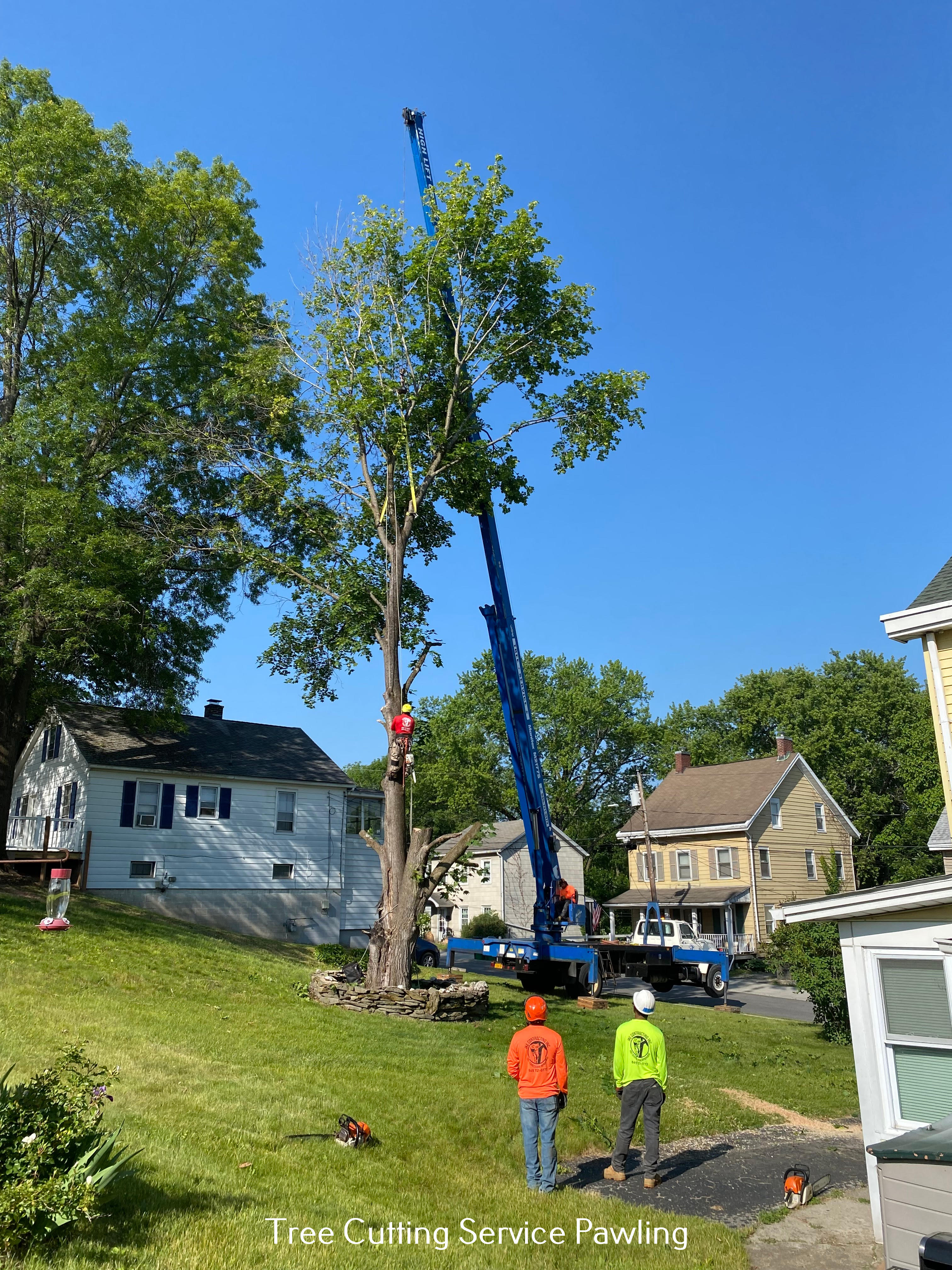 JKE Contracting, Inc. Outlines Best Practices for Secure and Effective Tree Trimming