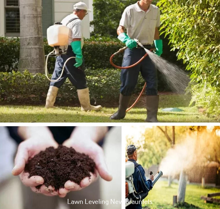 A&A Lawn Care Reveals Its Time-Tested Commitment to Excellence