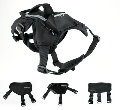 Pawformance Gear unveils one harness: The ultimate versatile dog harness for every adventure 