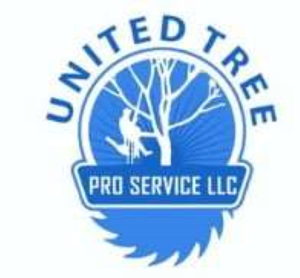 United Tree Pro Service Shares Expert Tips for Maintaining Healthy Trees in Marietta's Climate