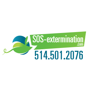 Montreal Homeowners Brace for Summer Pest Invasion: SOS Extermination Offers Expert Guidance