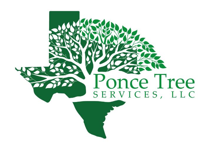 Ponce Tree Services Crowned Best In Tree Service Dallas: A Cut Above the Rest