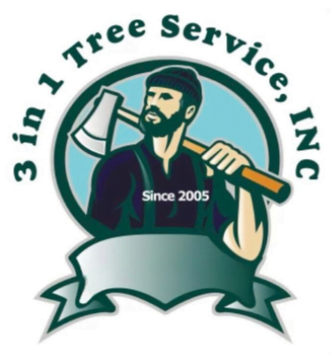 3 in 1 Tree Service Introduces Cutting-Edge Root Management Technology to Athens, GA
