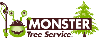 Beat the Drought & Storms: Monster Tree Service of Northwest Houston Offers Expert Summer Tree Care