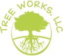 Tree Works LLC Offers Uncompromised Tree Services in Chesapeake