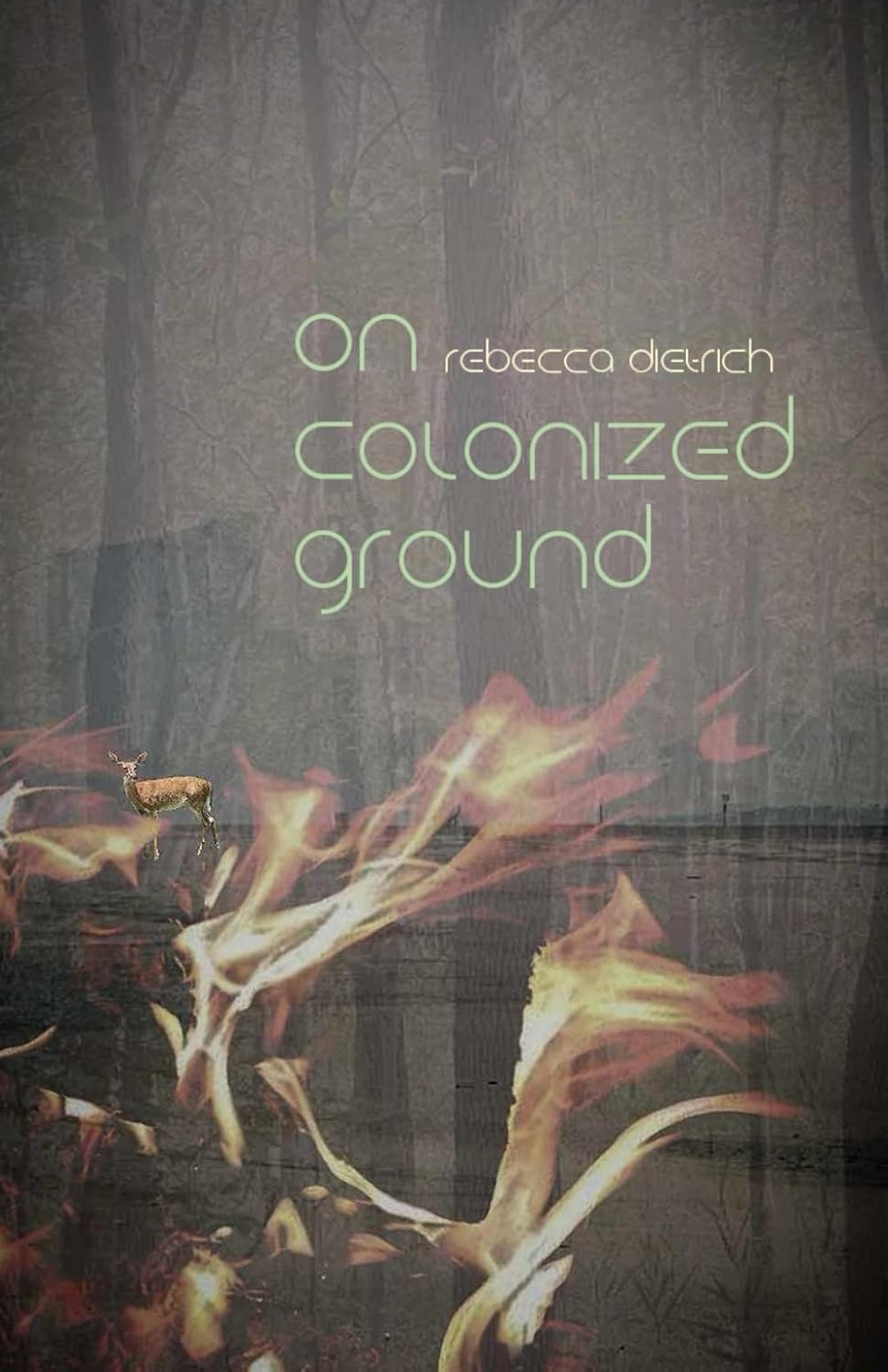 Award-Winning Poet Rebecca Dietrich Confronts Colonial Trauma in New Collection "On Colonized Ground"