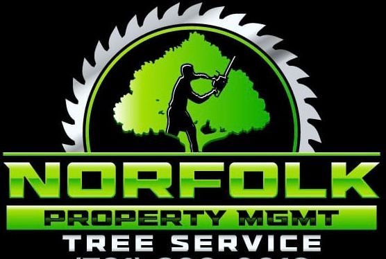 Expert Tree Care Now Available 24/7 in Waltham, MA, and its surrounding cities: Norfolk Tree Service Introduces Emergency Response Team