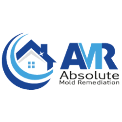 Absolute Mold Remediation Ltd. Surpasses 20 Years of Excellence in Mold Removal