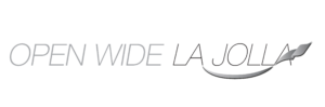Cosmetic Dental Services Now Offered at Open Wide La Jolla