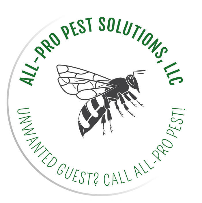 All-Pro Pest Solutions Offers Advanced Pest Control Services in Schenectady