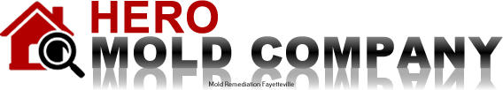 Hero Mold Company Stands out in Mold Remediation and Water Damage Restoration Services in Fayetteville