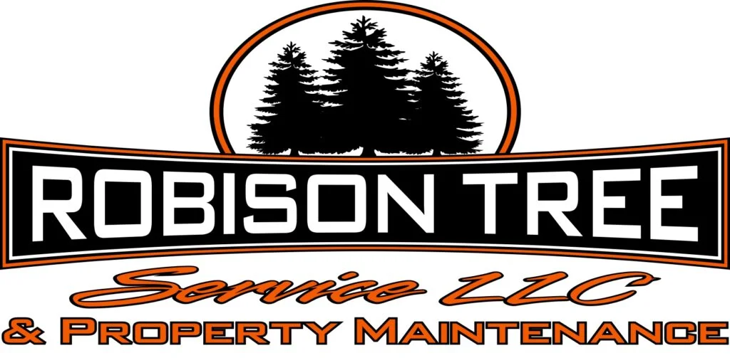 Robison Tree Service Launches Emergency Tree Removal Service for Storm-Damaged Trees