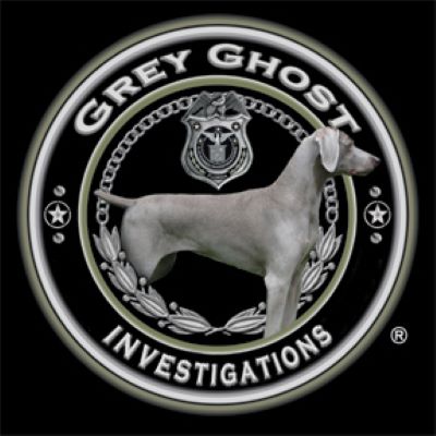 Private Investigator Miami: Grey Ghost Sets the Bar for Professional Surveillance Services 