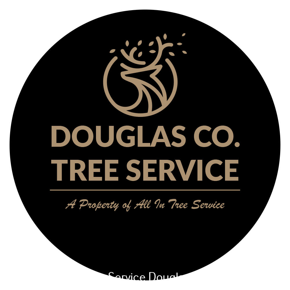 Douglas County Tree Service Shares Insights on Identifying Dangerous Trees That Need Removal