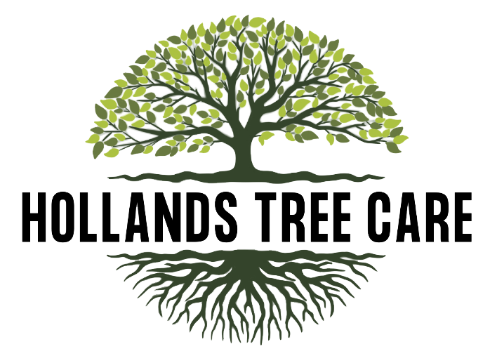 Hollands Tree Care Company Expands Premium Tree Services in Lafayette