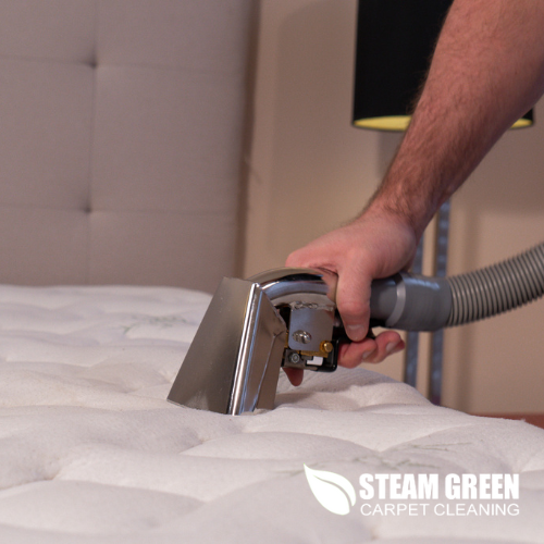 My Steam Green Carpet Cleaning Tampa Introduces Professional Mattress Cleaning Services in Tampa, FL