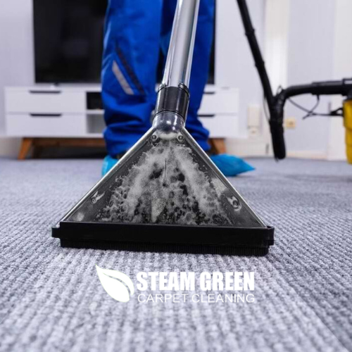 My Steam Green Carpet Cleaning Ventura County: A Family-Owned Business Committed to Excellence in Carpet Cleaning Services