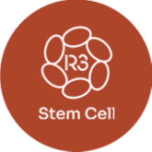 Stem Cell Therapy Mexico: R3 Stem Cell Unveils Innovative and Affordable Non-Invasive Solutions