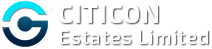 Citicon Estates LLC: Crypto Market Opportunities Q4 2024-25 