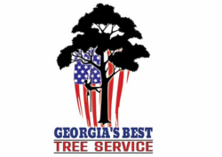 Georgia's Best Tree Service Highlights the Importance of Hiring Certified Arborists for Tree Care Safety and Quality