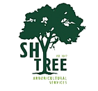 Shy Tree Celebrates ISA Board Certified Master Arborist Status, Offering Expert Tree Care Services