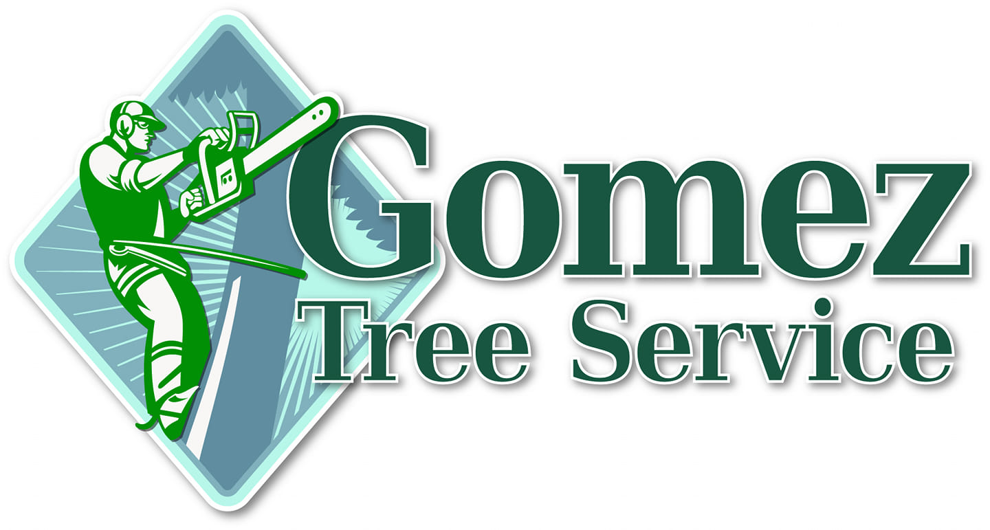 Gomez Tree Service Launches Free Tree Care Consultation Program for Local Homeowners and Businesses