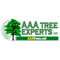 AAA Tree Experts Provides Certified Arborist Care for Sustainable Tree Management