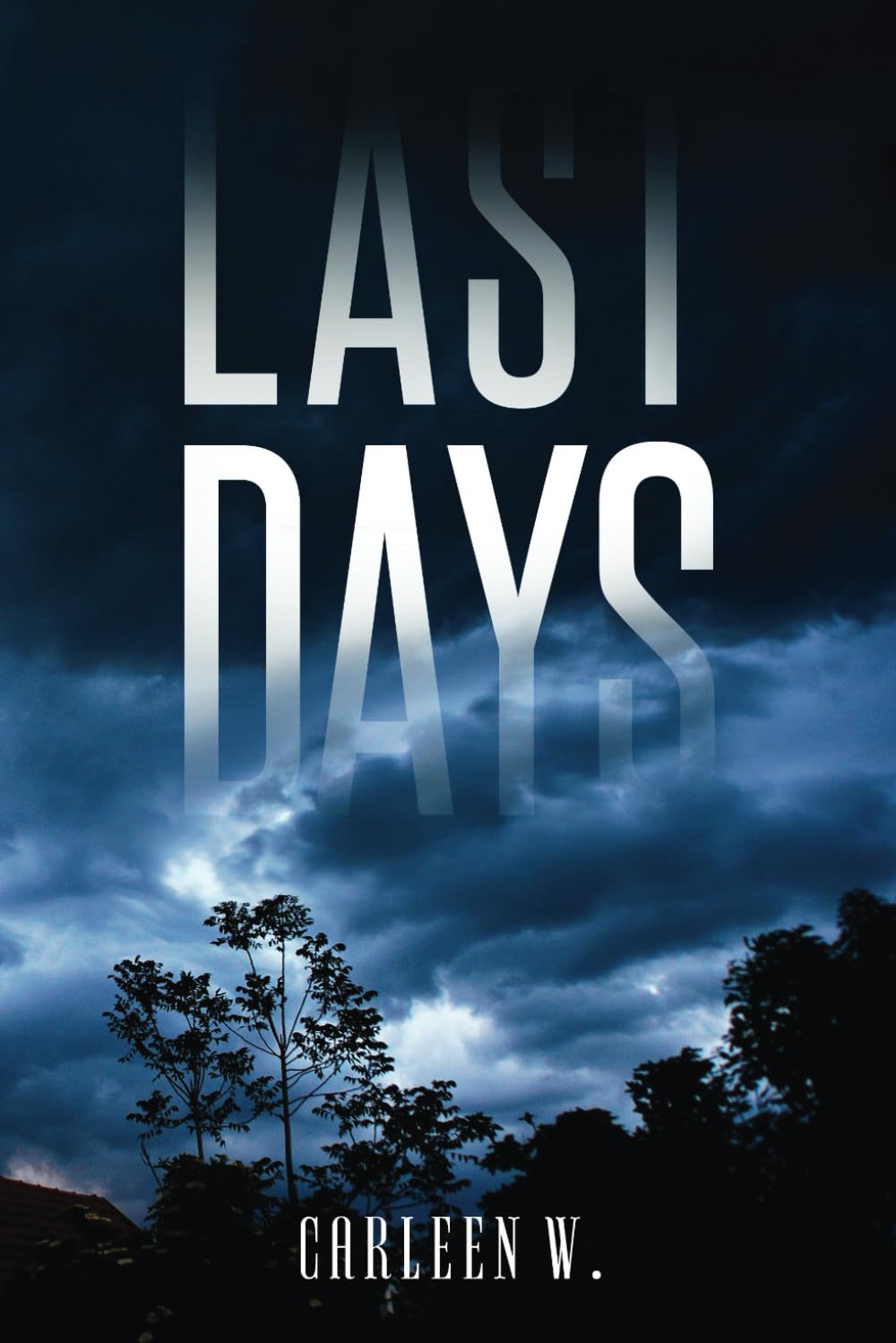 New Novel, "Last Days" by Carleen W., Explores Survival in a World Without Power