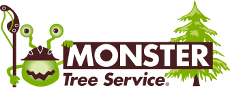 Hurricane Ready? Monster Tree Service to the Rescue in Northwest Houston