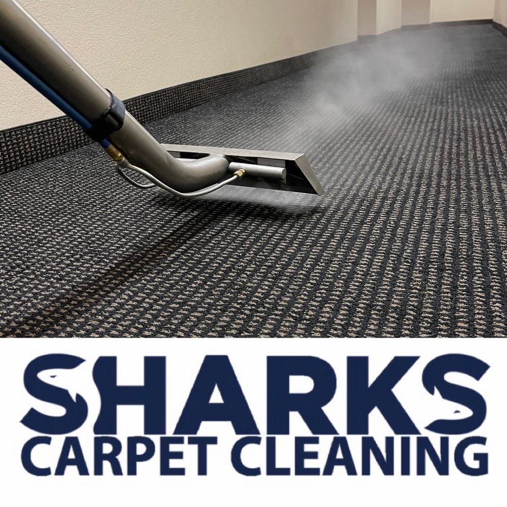 Sharks Cleaning Service Expands Carpet Cleaning and Deep Cleaning Services in Irvine, Long Beach, and Areas Throughout Orange County, CA