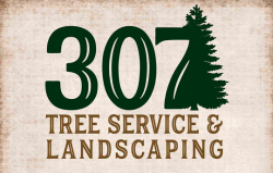 Cody, WY Homeowners Now Have Access to 307 tree service and landscaping Expert Arborists