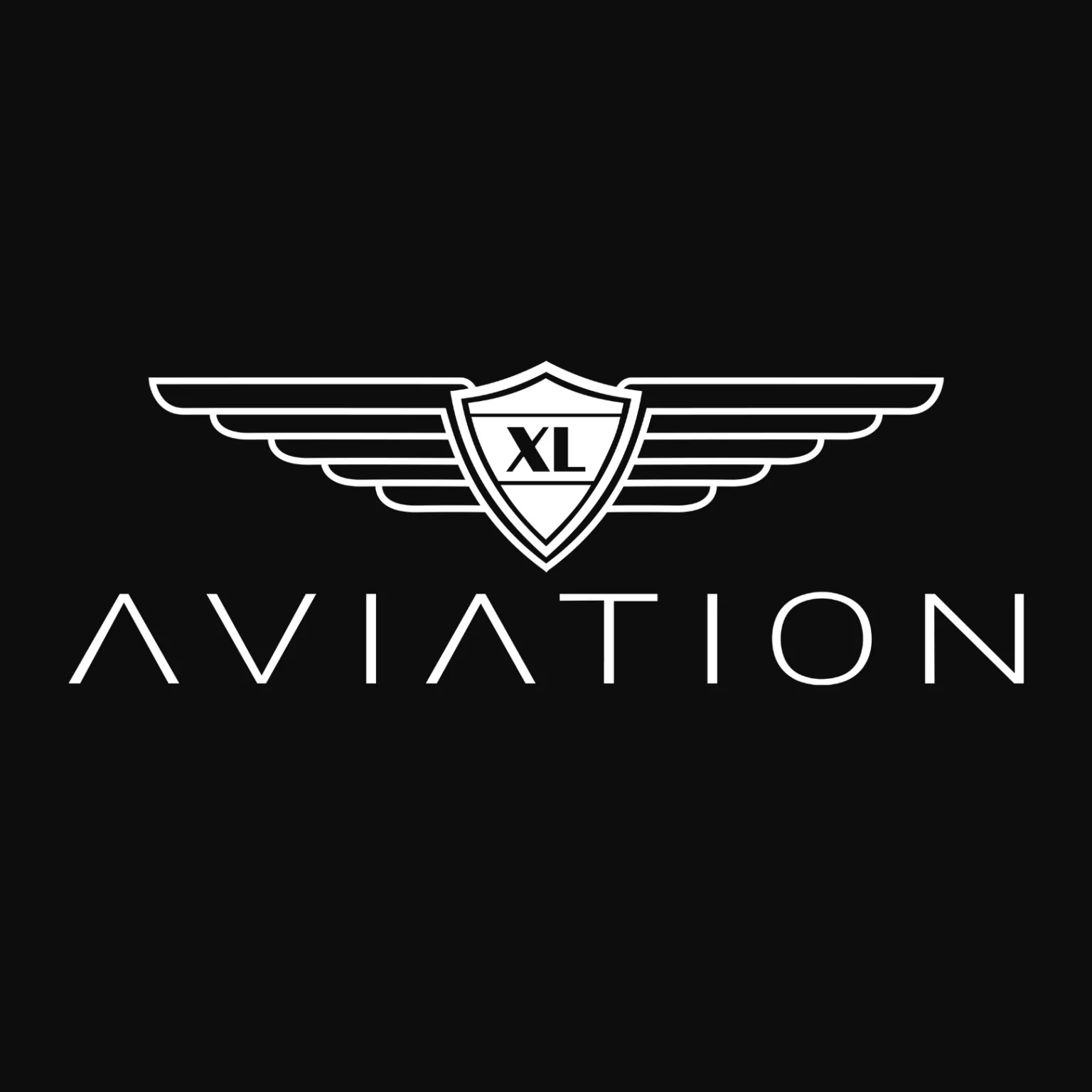 XL Aviation, Operating In Silicon Valley, Was Awarded Best Flight School And Is Now Offering Complimentary "Intro to Aviation Flights" in the San Francisco Area.