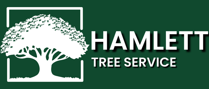 Seasonal Tips for Tree Care: Hamlett's Tree Service Shares Expert Advice