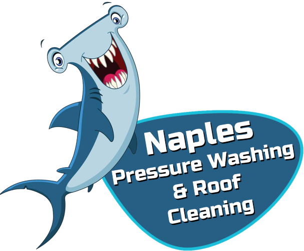 Naples Pressure Washing & Roof Cleaning in Riverstone Done Affordably by Experts with the Right Equipment for Lasting Results 