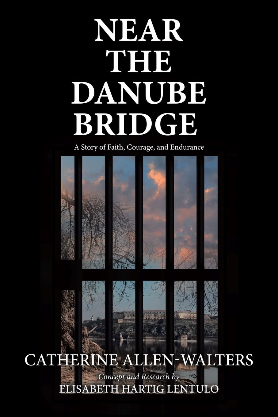 Captivating Historical Biography "Near the Danube Bridge" Chronicles Lives Marked by War and Faith