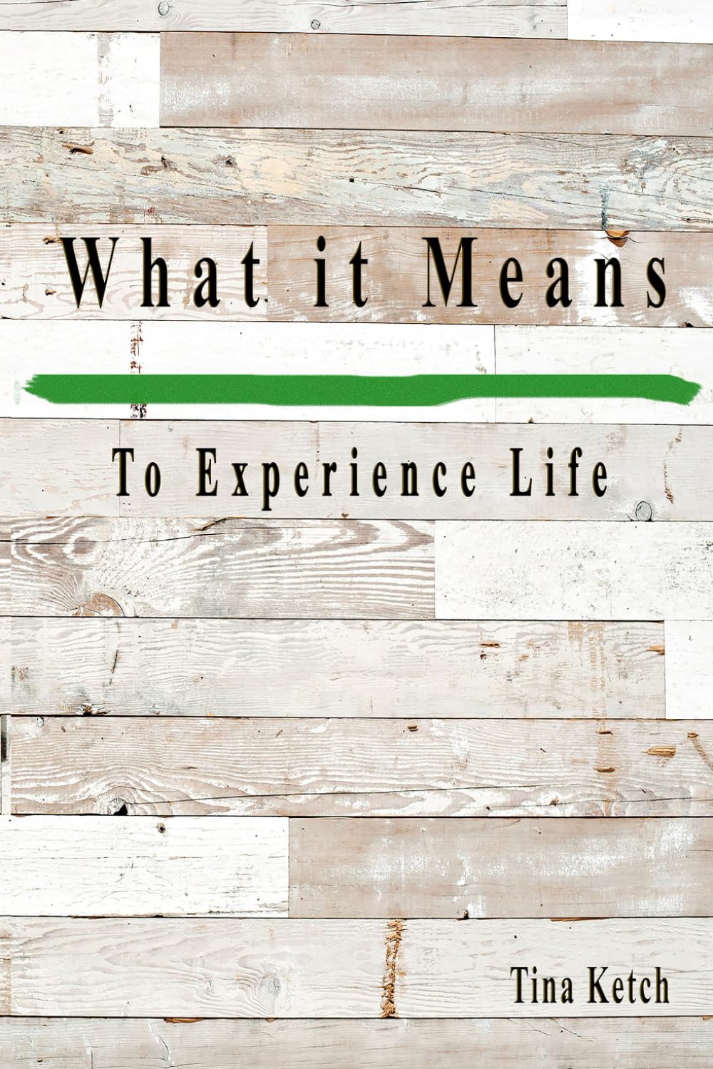 The Captivating Book ‘What It Means To Experience Life’ Offers Insights into Finding Joy and Fulfillment Amidst Life's Challenges